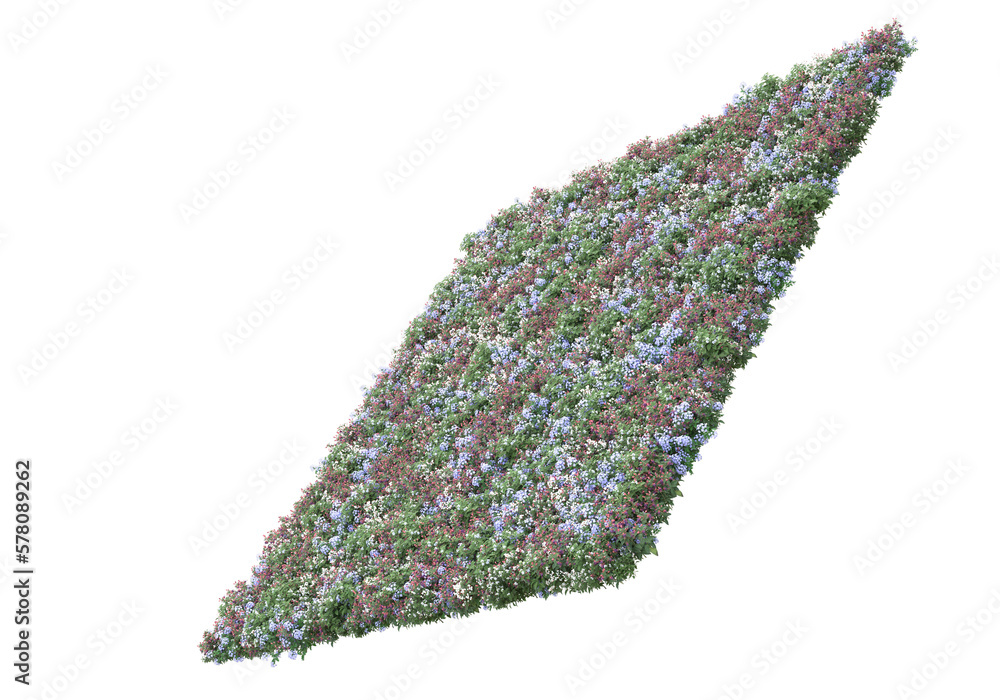 Poster field of foliage isolated on transparent background. 3d rendering - illustration