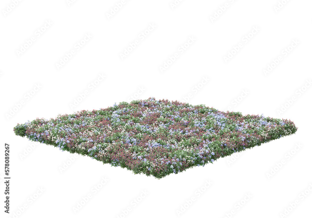 Poster field of foliage isolated on transparent background. 3d rendering - illustration