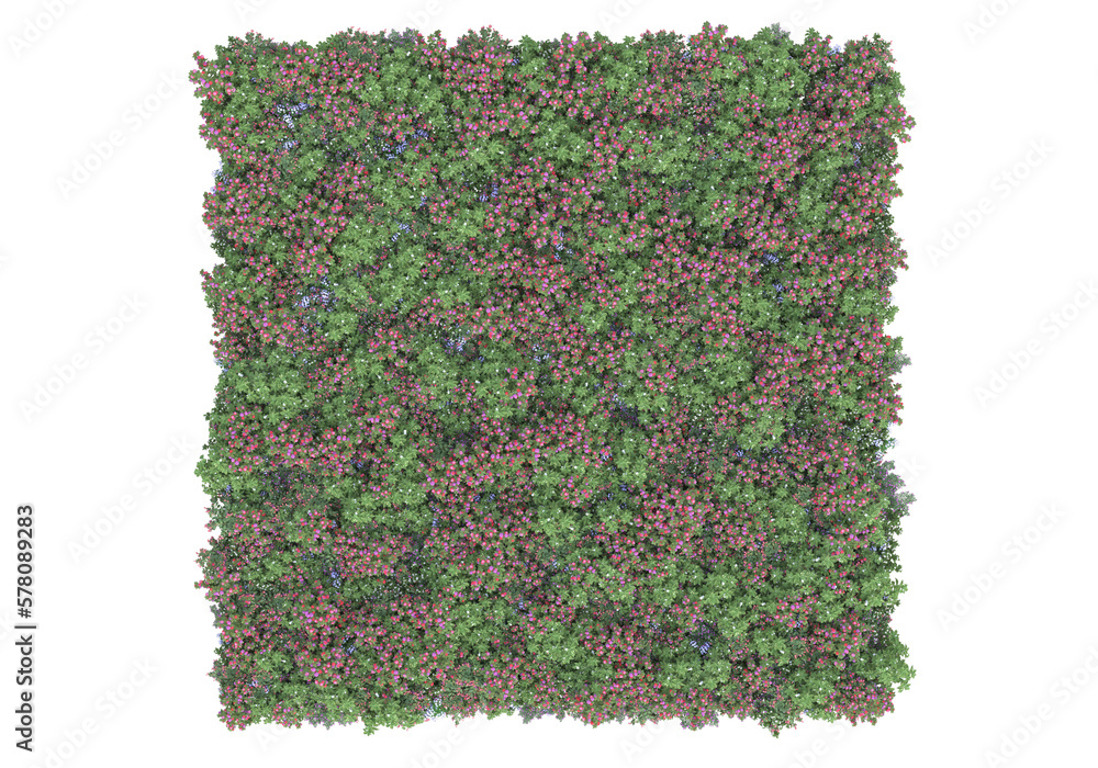 Poster field of foliage isolated on transparent background. 3d rendering - illustration