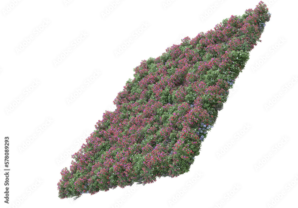 Poster field of foliage isolated on transparent background. 3d rendering - illustration