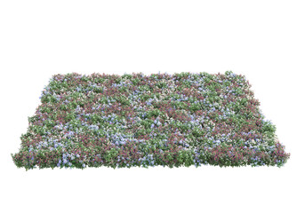 Field of foliage isolated on transparent background. 3d rendering - illustration