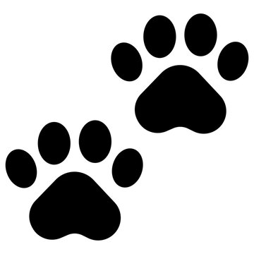 Animal paws mark icon