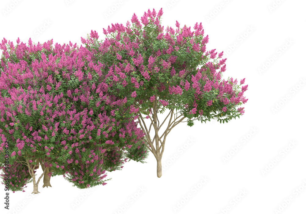 Fototapete Field of foliage isolated on transparent background. 3d rendering -