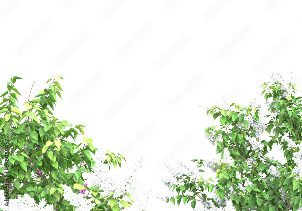 Poster field of foliage isolated on transparent background. 3d rendering - illustration