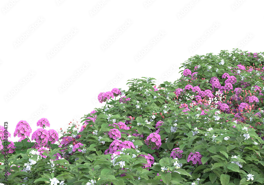 Poster field of foliage isolated on transparent background. 3d rendering - illustration