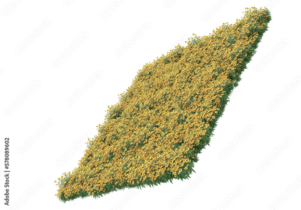 Poster field of grass isolated on transparent background. 3d rendering - illustration