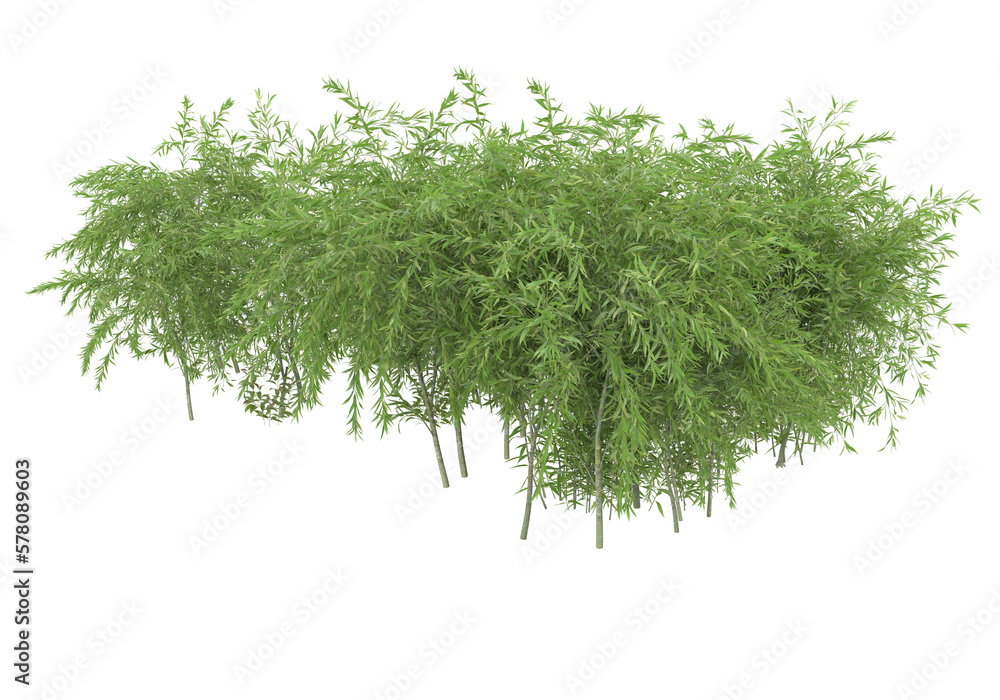 Poster field of grass isolated on transparent background. 3d rendering - illustration