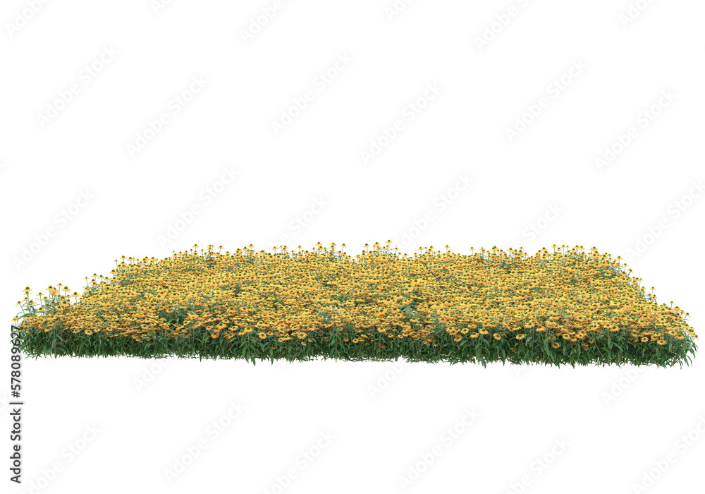 Poster field of grass isolated on transparent background. 3d rendering - illustration