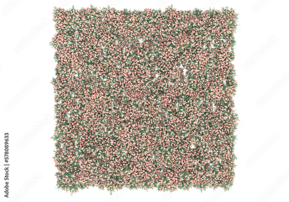 Poster field of grass isolated on transparent background. 3d rendering - illustration