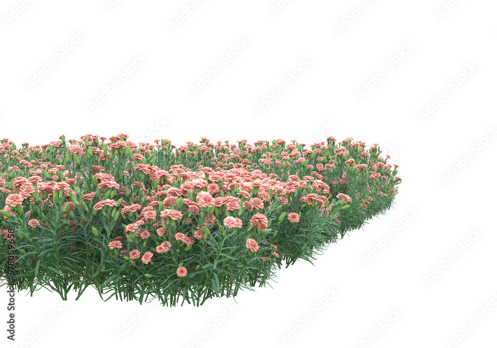 Aufkleber field of grass isolated on transparent background. 3d rendering - illustration