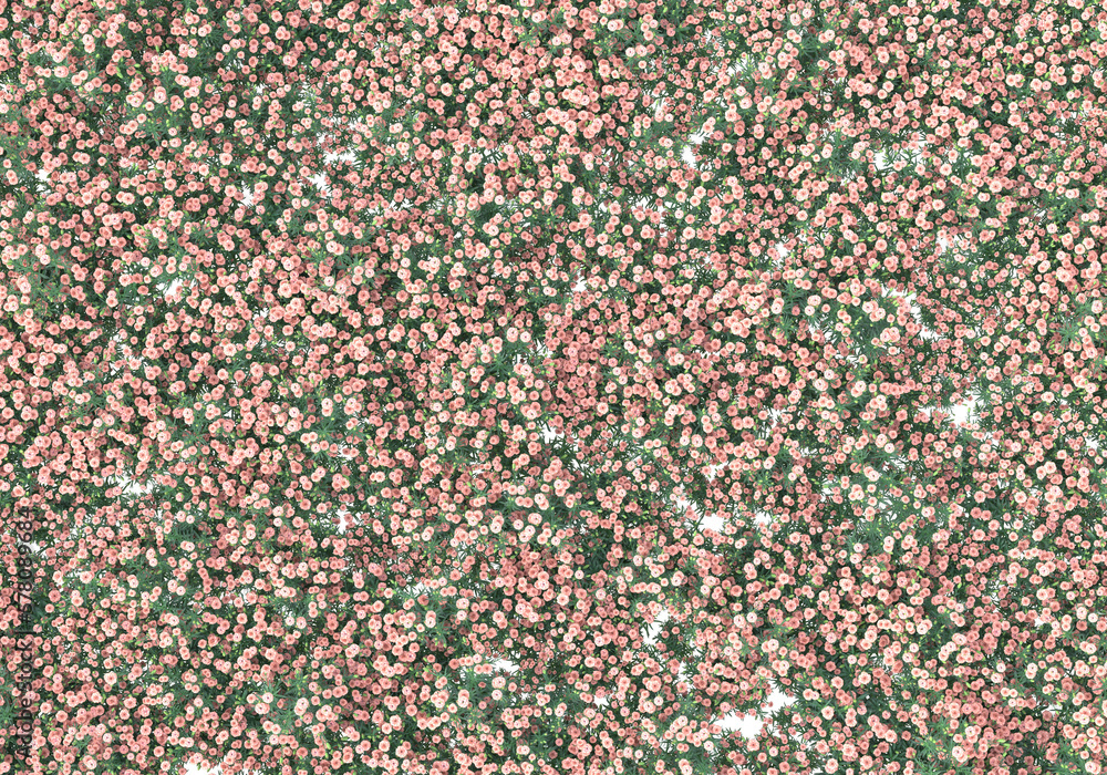 Poster field of grass isolated on transparent background. 3d rendering - illustration