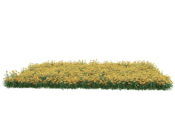 Field of grass isolated on transparent background. 3d rendering - illustration