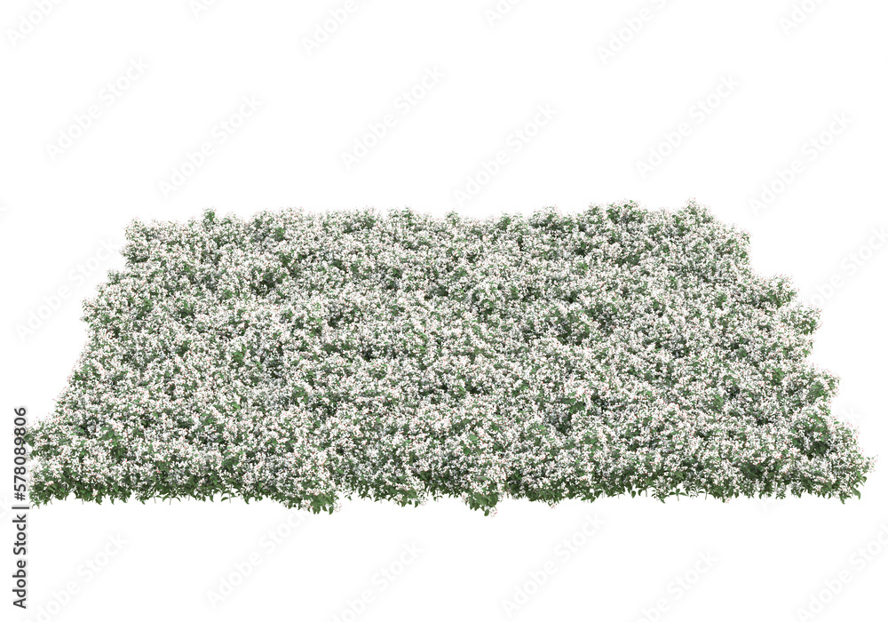 Poster field of grass isolated on transparent background. 3d rendering - illustration