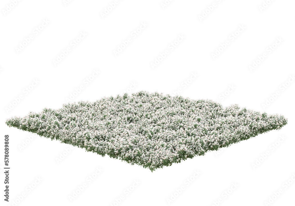 Poster field of grass isolated on transparent background. 3d rendering - illustration