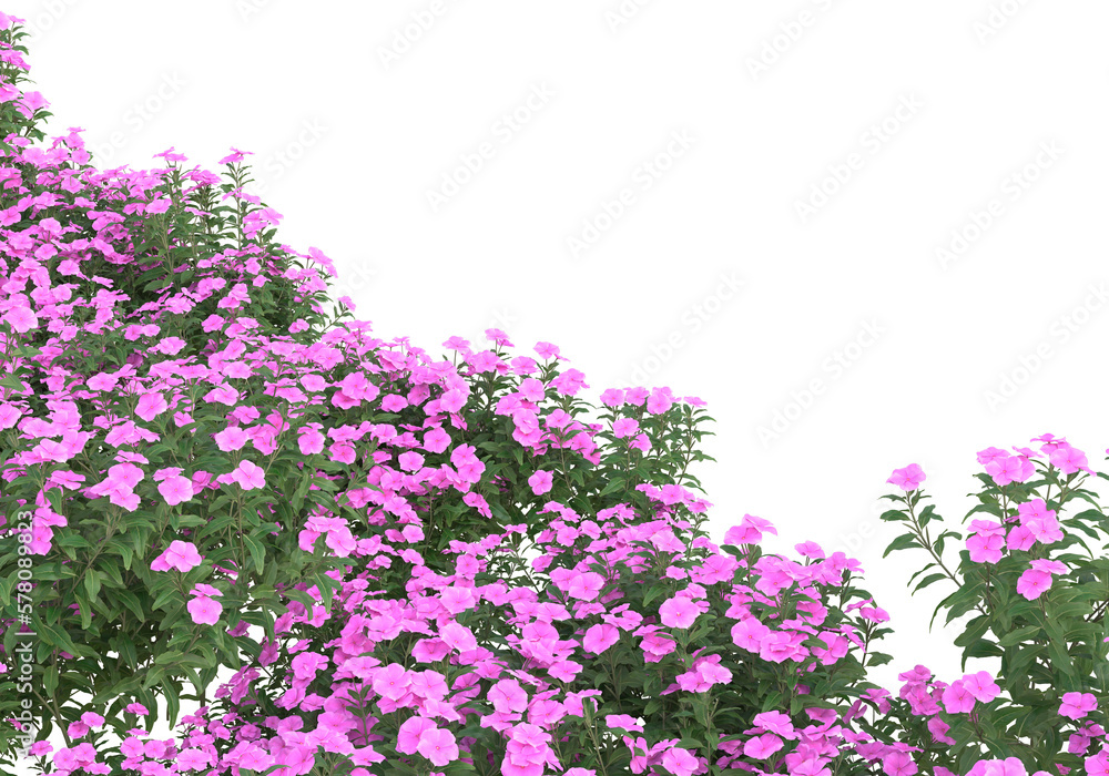 Poster field of grass isolated on transparent background. 3d rendering - illustration