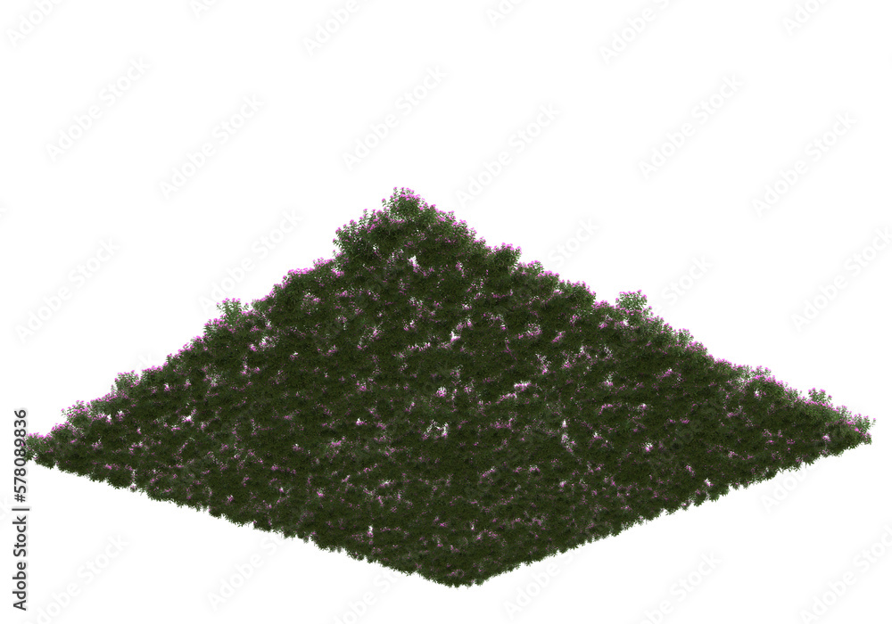 Poster field of grass isolated on transparent background. 3d rendering - illustration