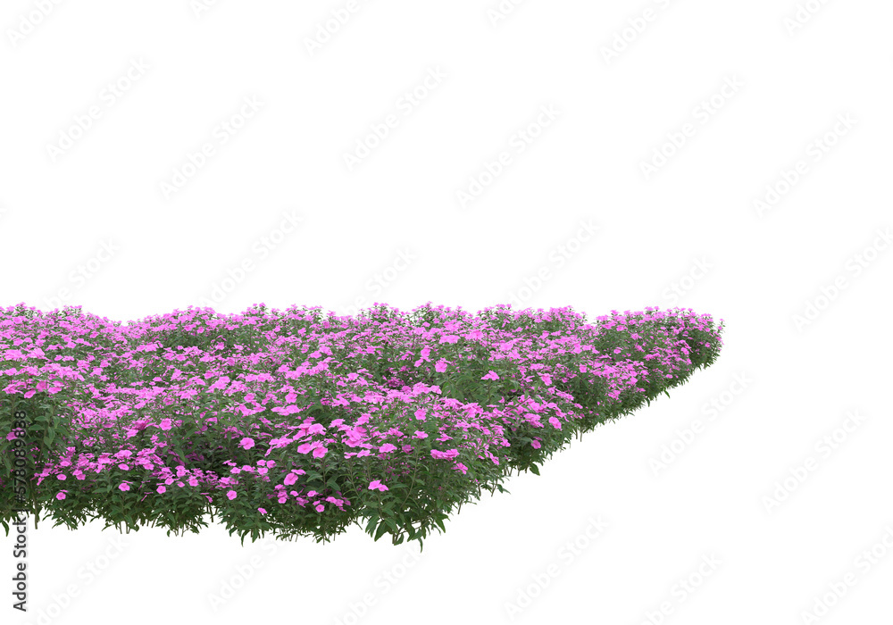 Poster field of grass isolated on transparent background. 3d rendering - illustration