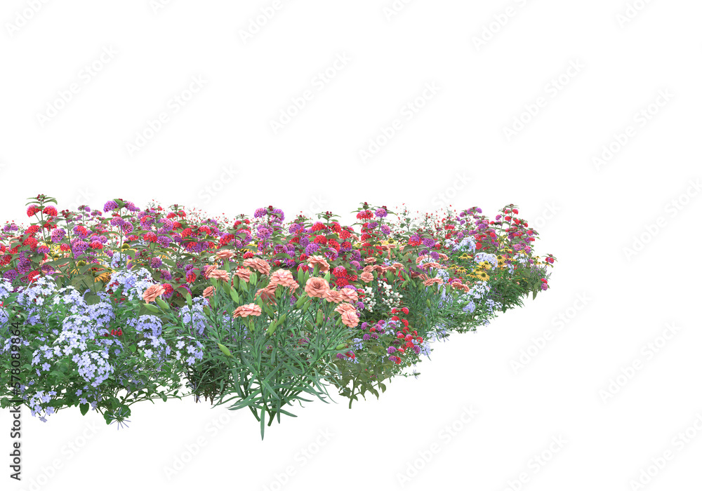 Poster field of grass isolated on transparent background. 3d rendering - illustration
