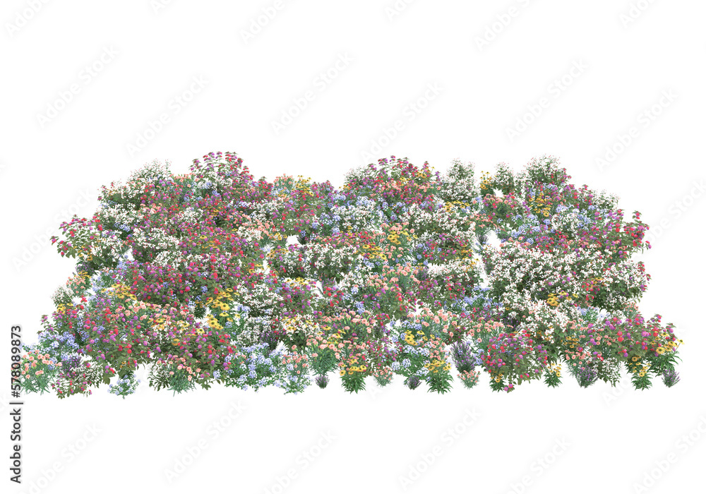 Poster field of grass isolated on transparent background. 3d rendering - illustration