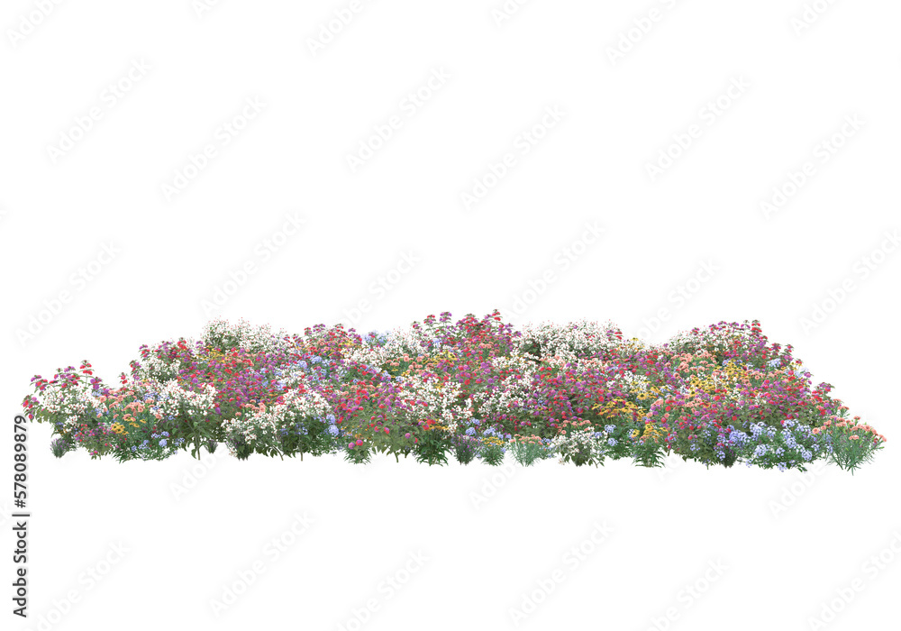 Poster field of grass isolated on transparent background. 3d rendering - illustration