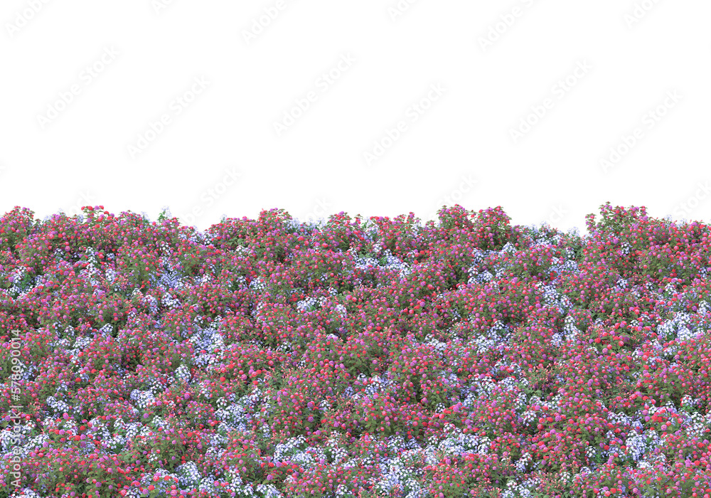 Poster field of grass isolated on transparent background. 3d rendering -