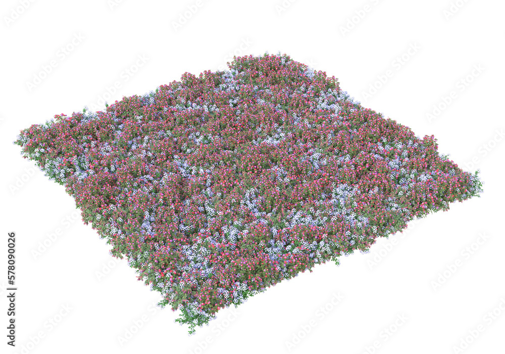 Poster field of grass isolated on transparent background. 3d rendering - illustration