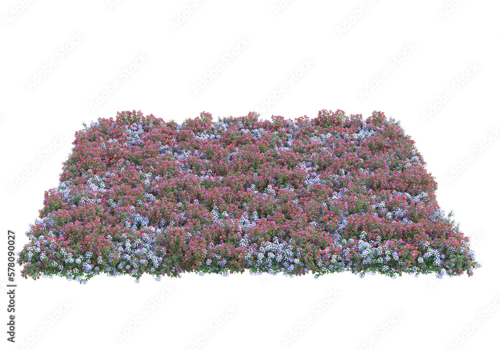 Poster field of grass isolated on transparent background. 3d rendering - illustration