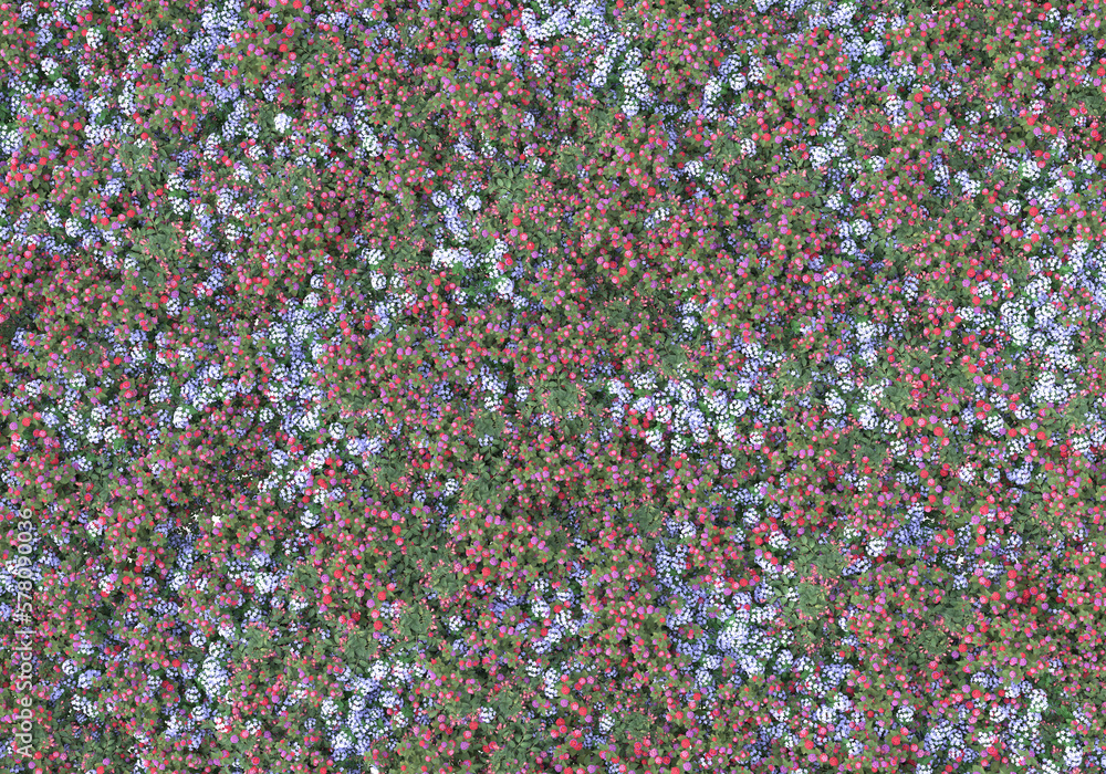 Poster field of grass isolated on transparent background. 3d rendering - illustration