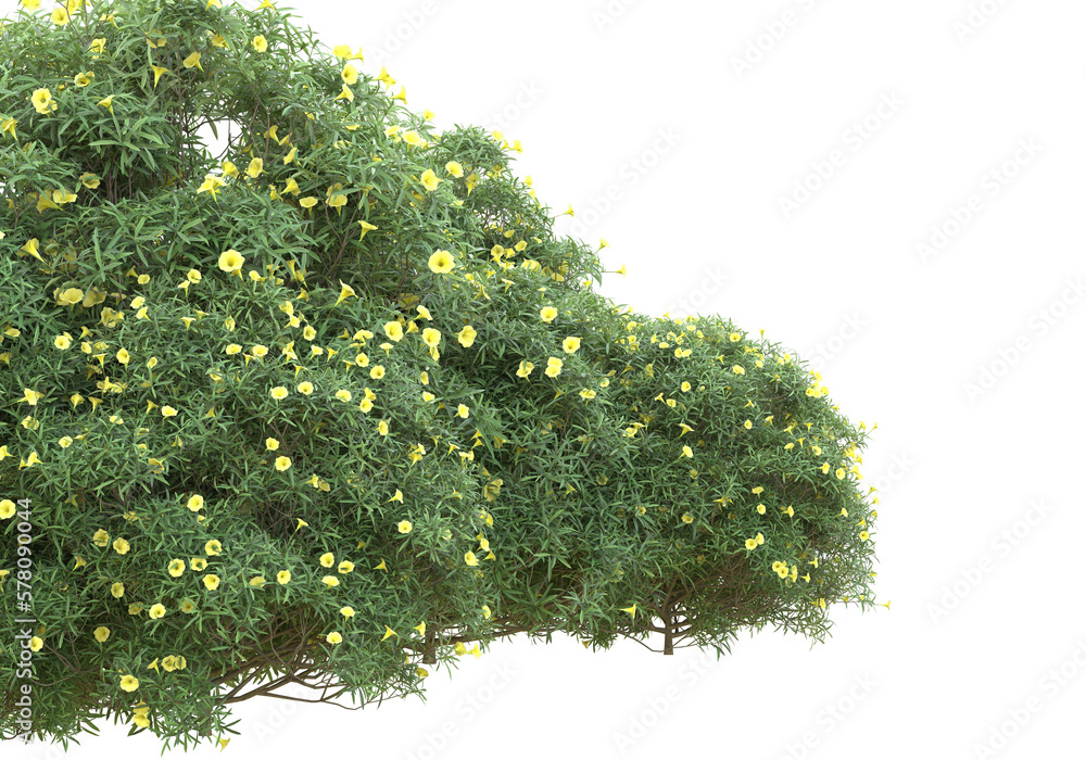Poster field of grass isolated on transparent background. 3d rendering - illustration