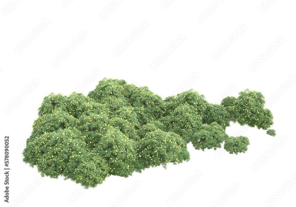 Aufkleber field of grass isolated on transparent background. 3d rendering - illustration