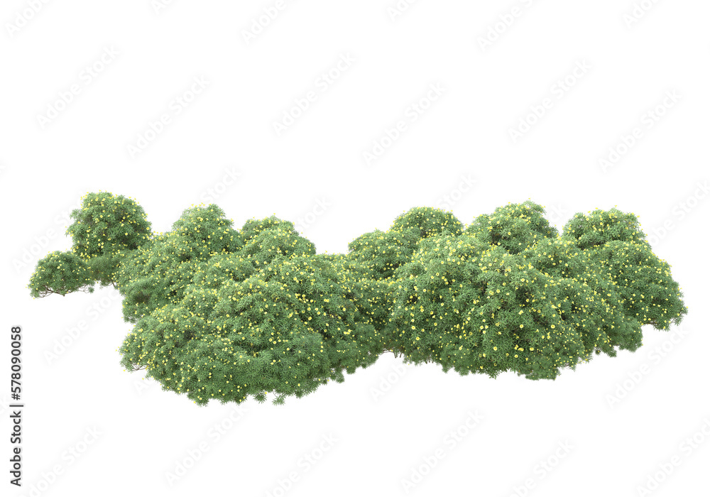 Poster field of grass isolated on transparent background. 3d rendering - illustration