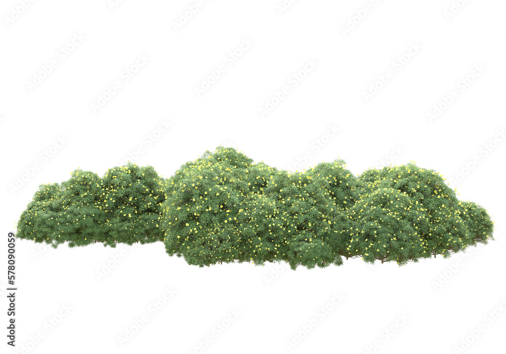 Poster field of grass isolated on transparent background. 3d rendering - illustration