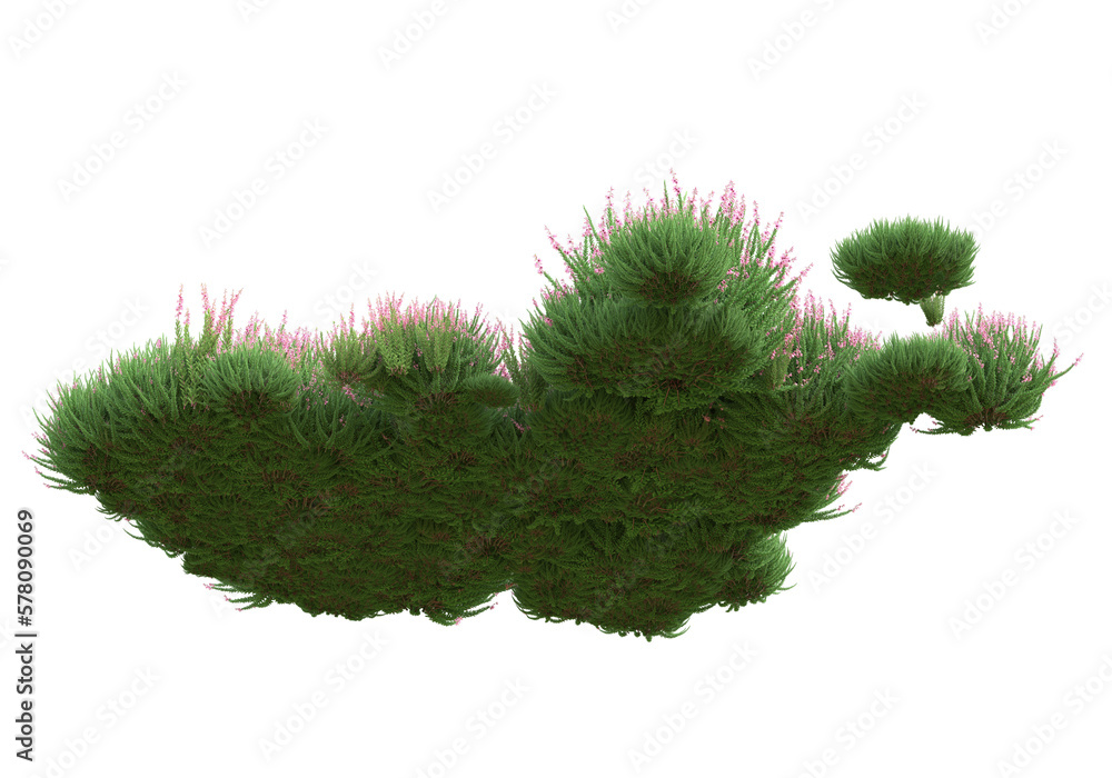 Poster field of grass isolated on transparent background. 3d rendering - illustration