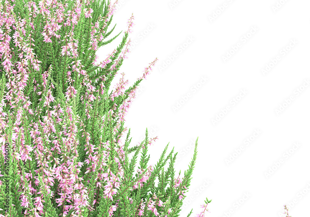 Poster field of grass isolated on transparent background. 3d rendering -