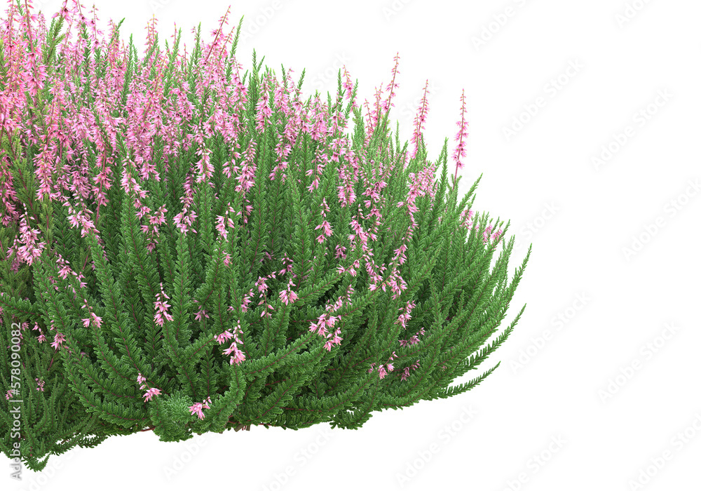 Aufkleber field of grass isolated on transparent background. 3d rendering - illustration