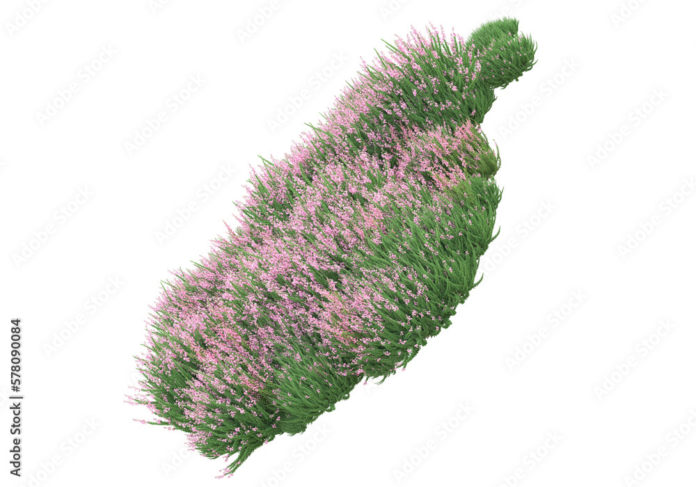 Poster field of grass isolated on transparent background. 3d rendering - illustration