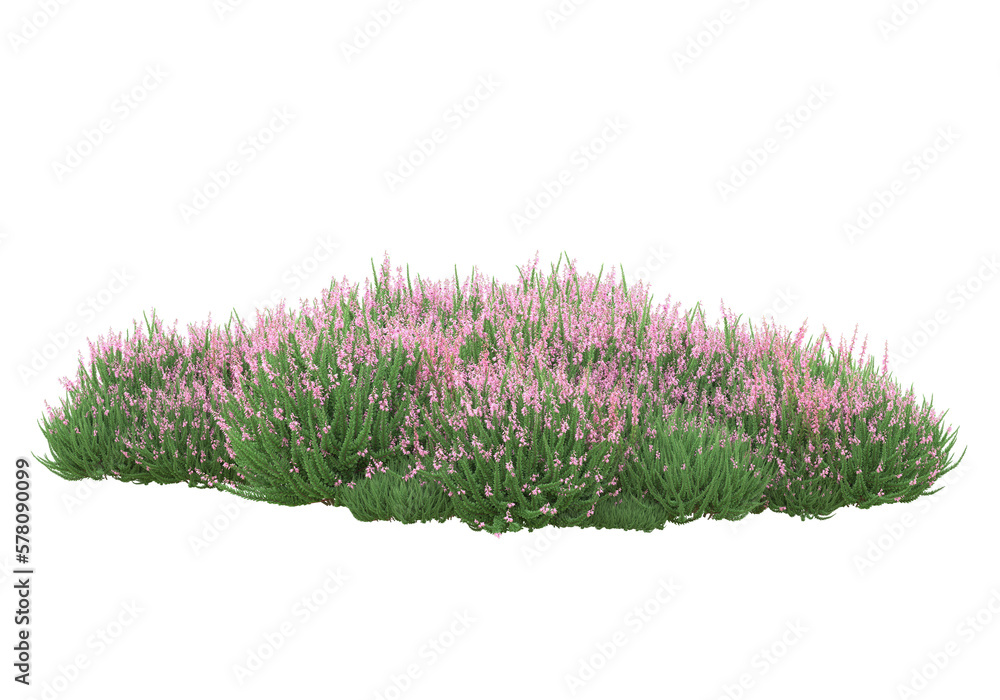 Poster field of grass isolated on transparent background. 3d rendering - illustration