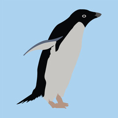  Illustration of a cute penguin