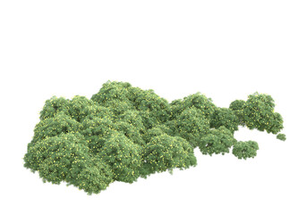 Obraz premium Field of grass isolated on transparent background. 3d rendering - illustration