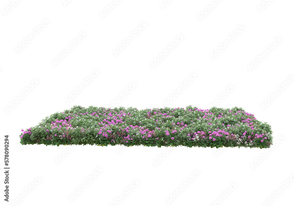 Poster field of grass isolated on transparent background. 3d rendering - illustration