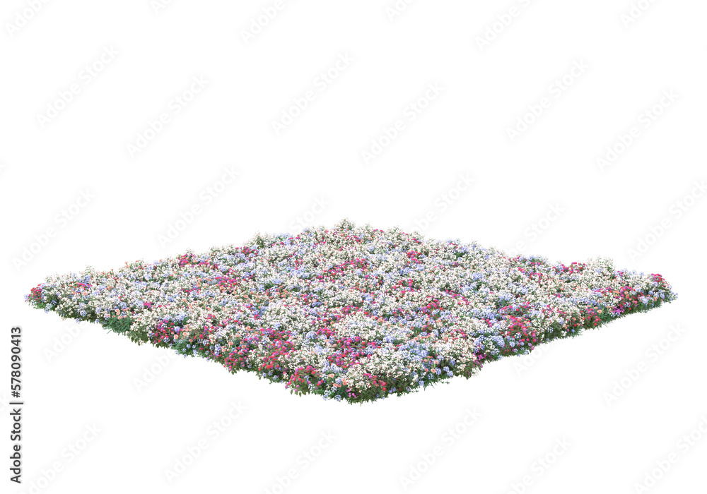Poster field of grass isolated on transparent background. 3d rendering - illustration