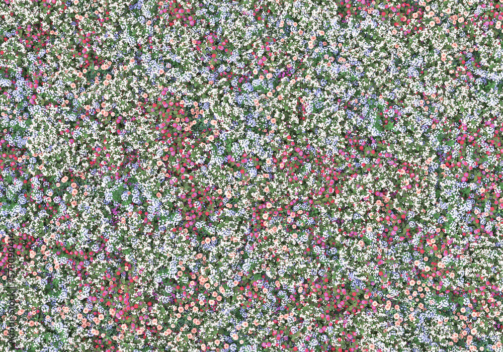 Poster field of grass isolated on transparent background. 3d rendering - illustration