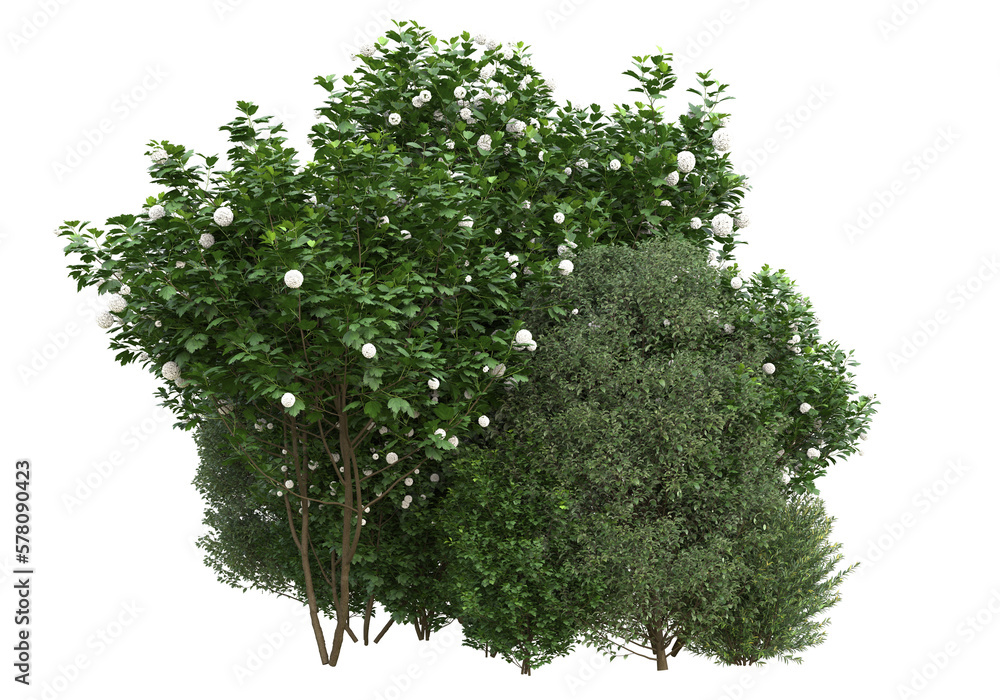Poster field of grass isolated on transparent background. 3d rendering - illustration