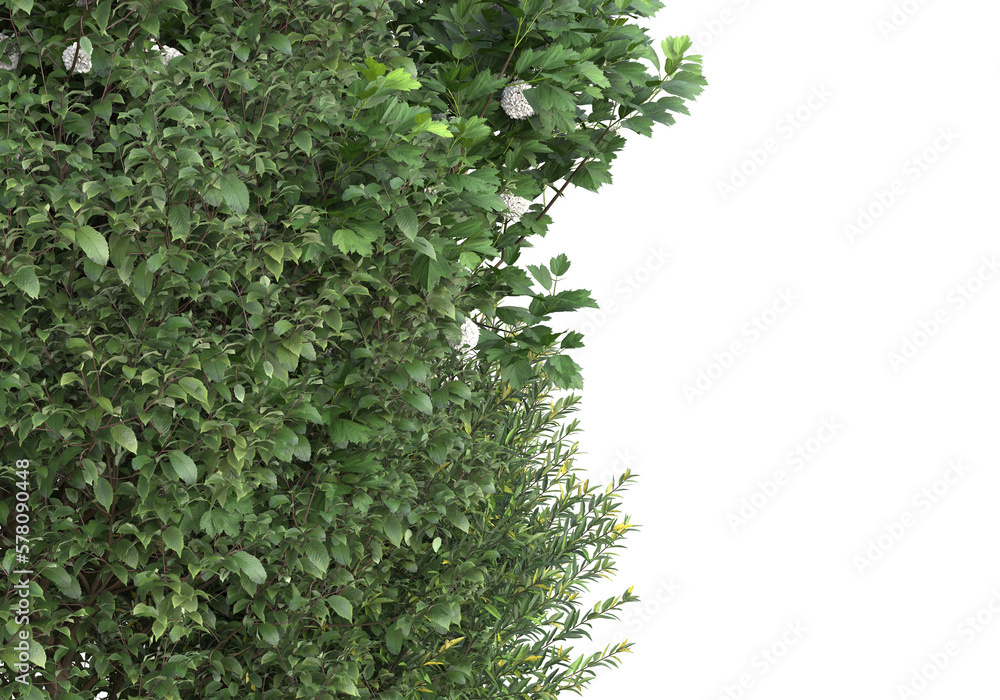 Poster field of grass isolated on transparent background. 3d rendering - illustration