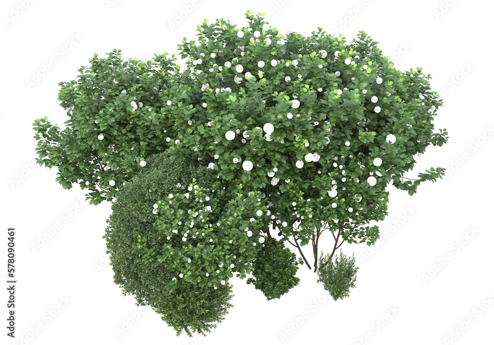 Poster field of grass isolated on transparent background. 3d rendering - illustration