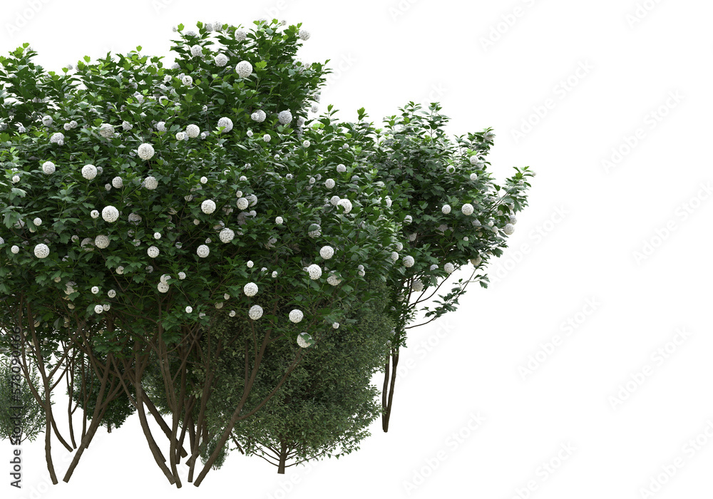 Poster field of grass isolated on transparent background. 3d rendering - illustration