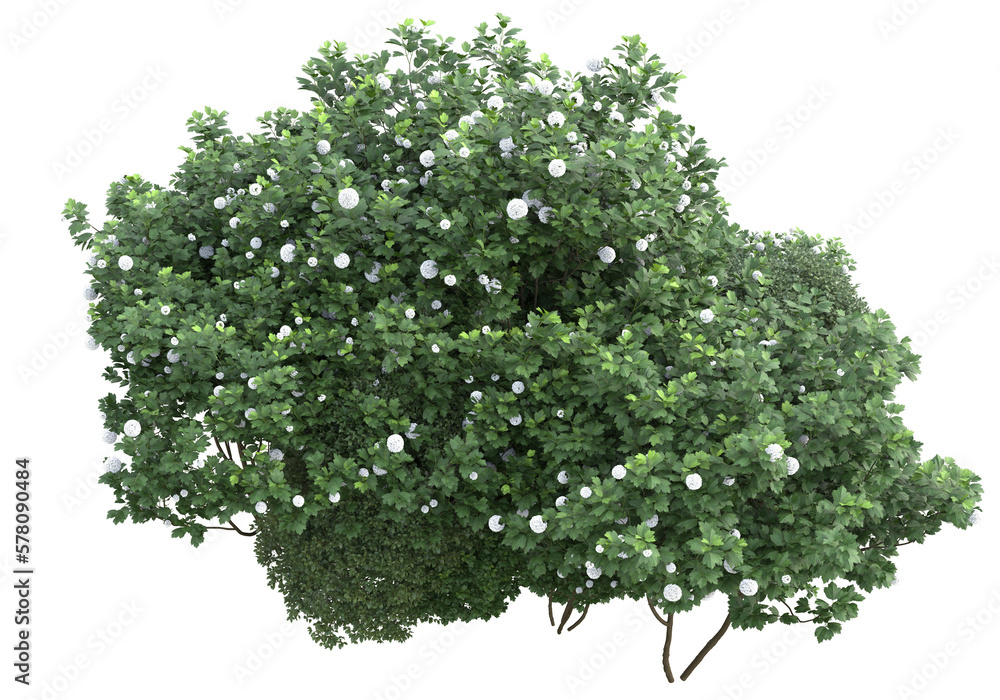 Poster field of grass isolated on transparent background. 3d rendering - illustration