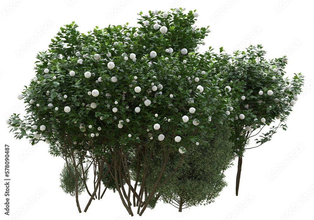 Poster field of grass isolated on transparent background. 3d rendering - illustration