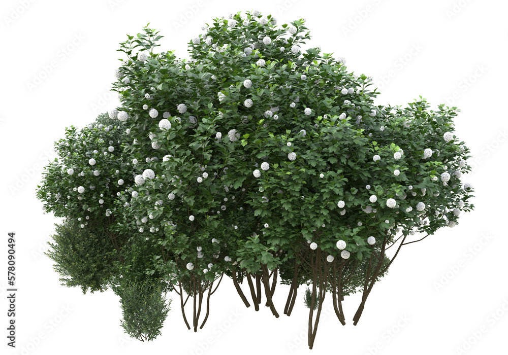 Poster field of grass isolated on transparent background. 3d rendering - illustration