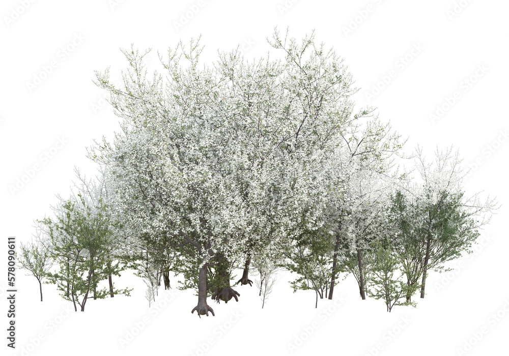 Poster field of grass isolated on transparent background. 3d rendering - illustration